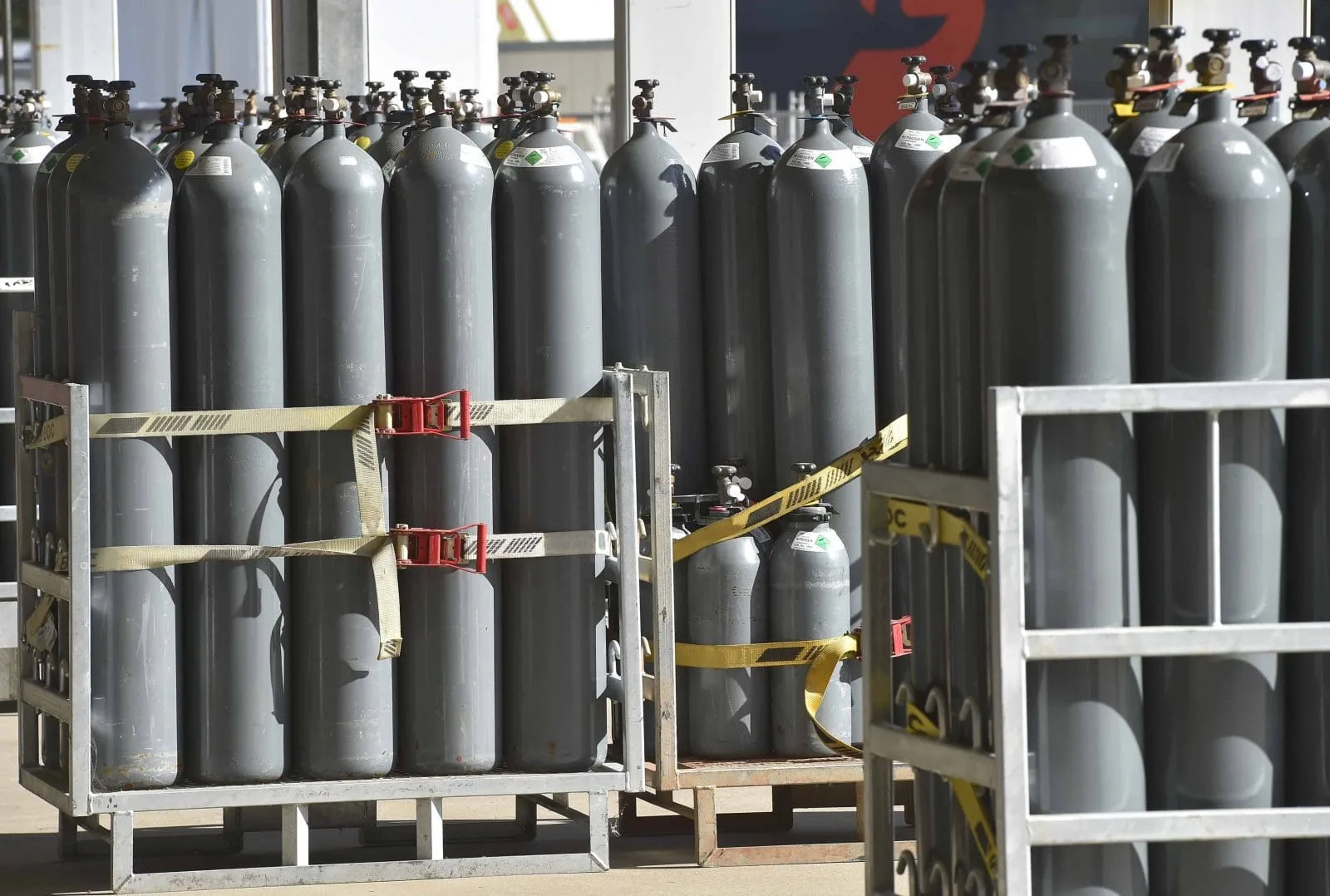 shutterstock  scaled