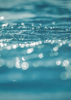 Miller-Stephenson Precision Cleaners & Solvents