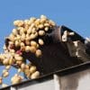 Food Grade Greases