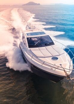 Wax Release Agent for Mold Release