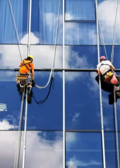 MS-260 Glass Cleaner